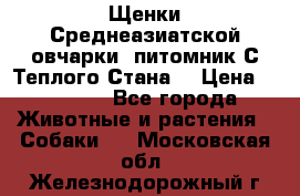 Щенки Среднеазиатской овчарки (питомник С Теплого Стана) › Цена ­ 20 000 - Все города Животные и растения » Собаки   . Московская обл.,Железнодорожный г.